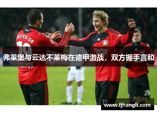 弗莱堡与云达不莱梅在德甲激战，双方握手言和